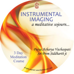 Instrumental Imaging - A Meditative Sojourn